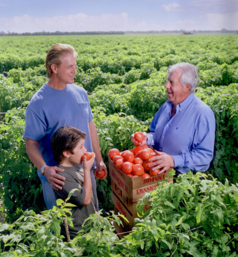 image of two men and son in field with tomatoes