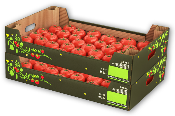 case of tomatoes