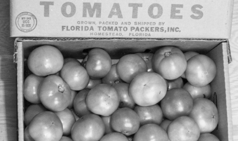 box of tomatoes