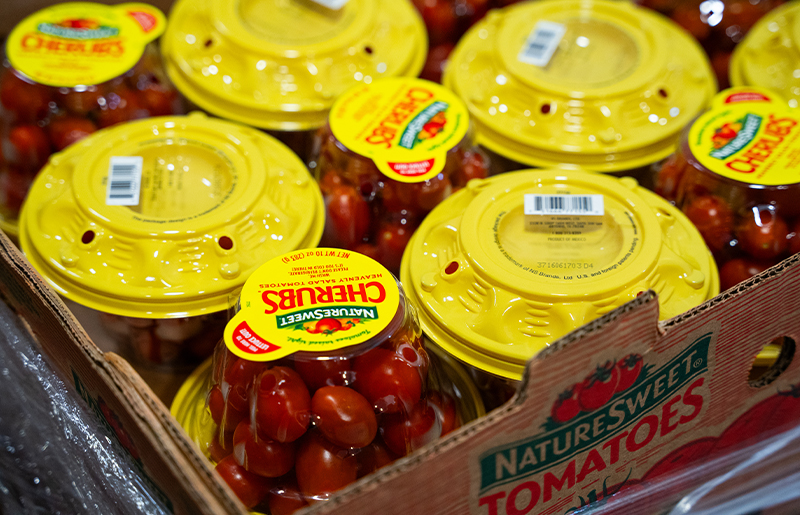 Cherub tomato tubs in a box