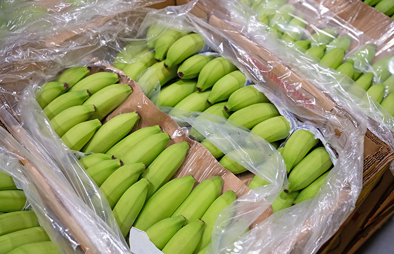 green bananas