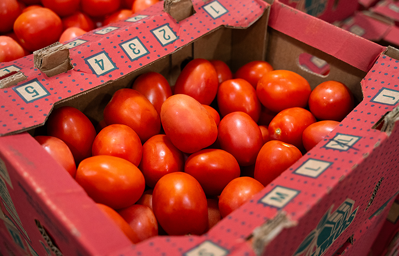 case of tomatoes
